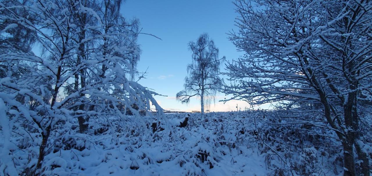 Torcroft Lodges Drumnadrochit Luaran gambar