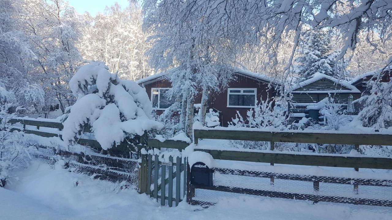 Torcroft Lodges Drumnadrochit Luaran gambar