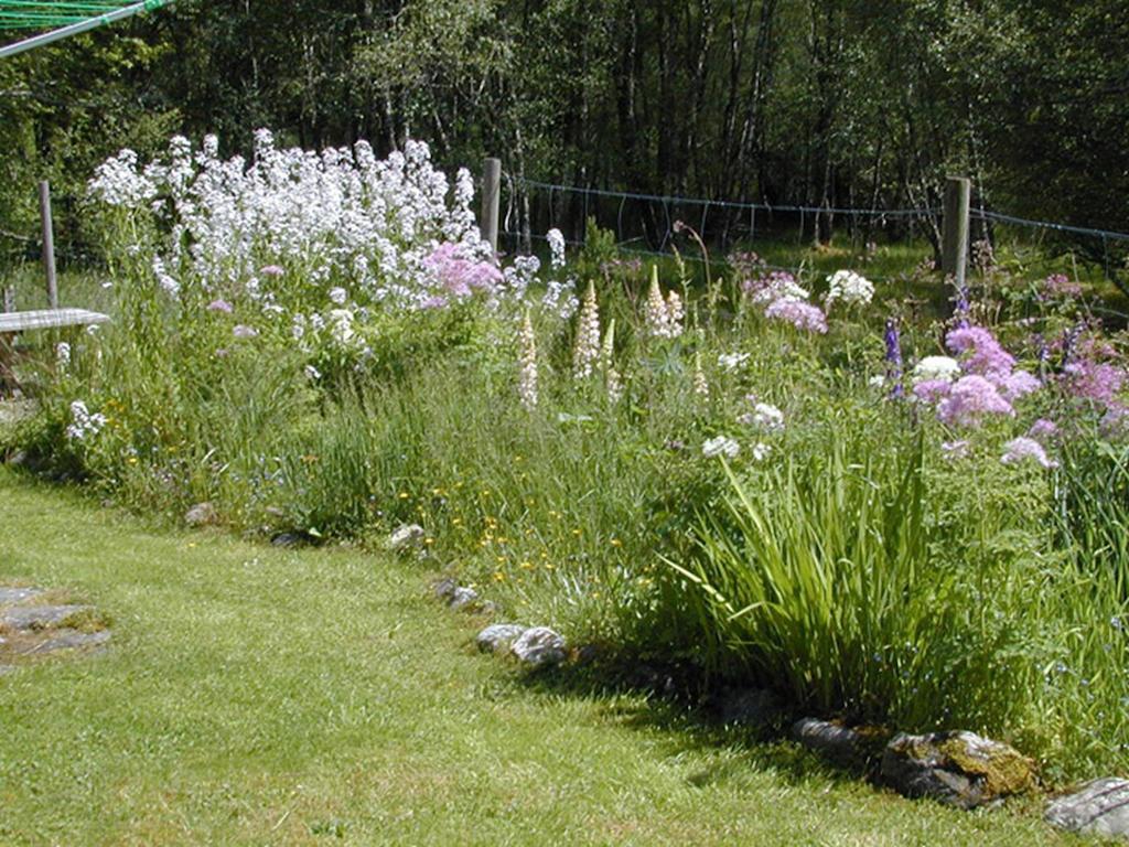Torcroft Lodges Drumnadrochit Bilik gambar