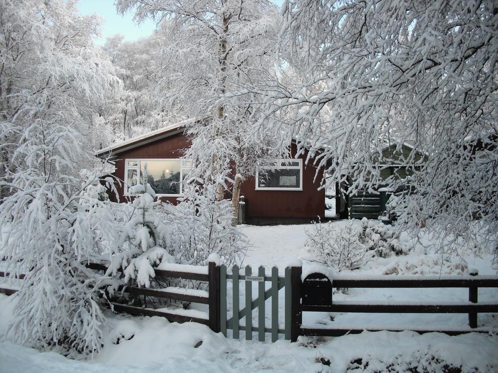 Torcroft Lodges Drumnadrochit Bilik gambar
